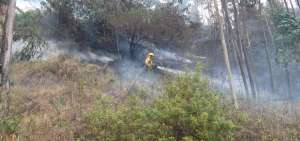 Bomberos combaten varios incendios forestales en Quito