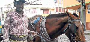 Este arriero tiene 61 a&ntilde;os, es un hombre sencillo que disfruta con su trabajo. Su caballo actual se llama Colorado y lo alimenta con alfalfa. Foto: Santiago Puetate