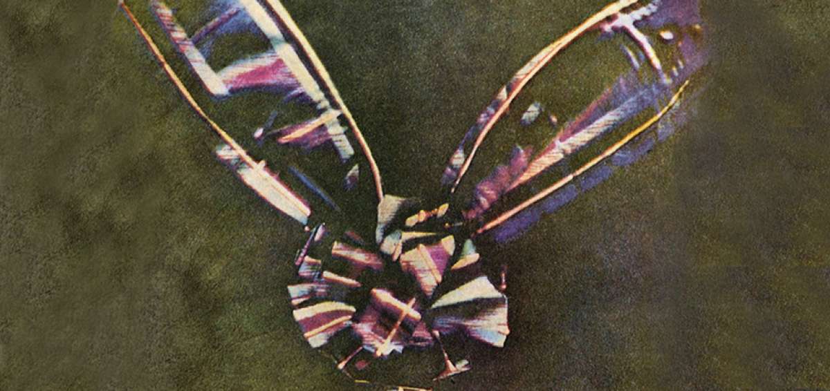 Sensaciones de colores en la fotograf&iacute;a