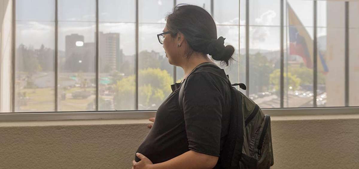 En Ecuador, el C&oacute;digo Integral Penal estipula que todo tipo de actividad que tenga que ver con la alteraci&oacute;n gen&eacute;tica se sancionar&aacute; con prisi&oacute;n. 