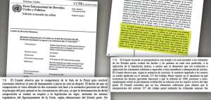 El dictamen del organismo internacional fue emitido el 3 de junio y consta de 19 p&aacute;ginas.